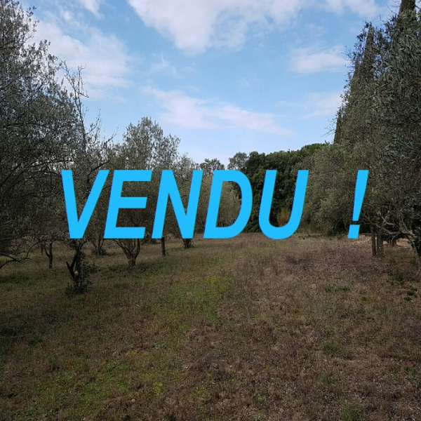 Offres de vente Terrain Bollène 84500