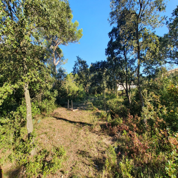 Offres de vente Terrain Piolenc 84420